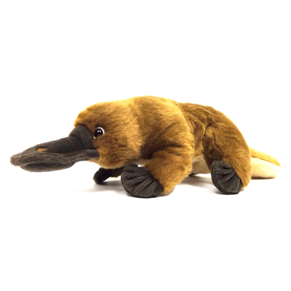 Platypus Soft Toy with Beans - 24cm - Sim Crawcour Pty Ltd